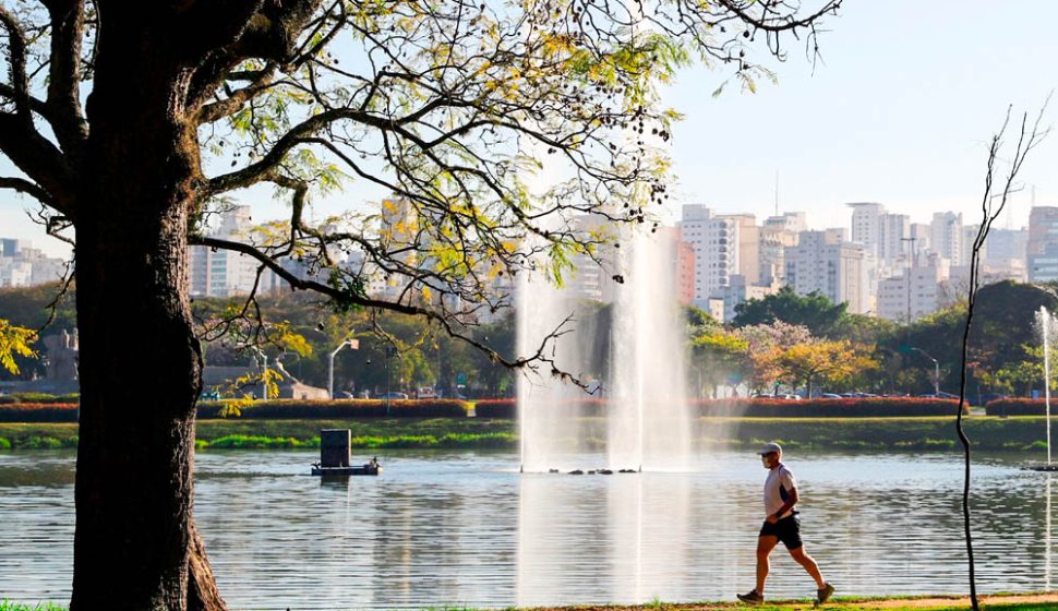 Parque do Ibirapuera